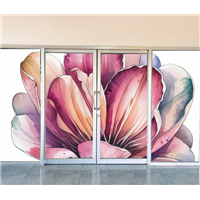 Window Film Window Film